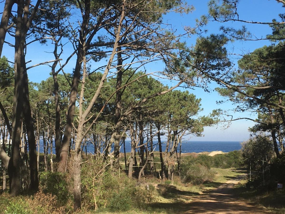 Los Quetzales Μαλντονάντο Εξωτερικό φωτογραφία